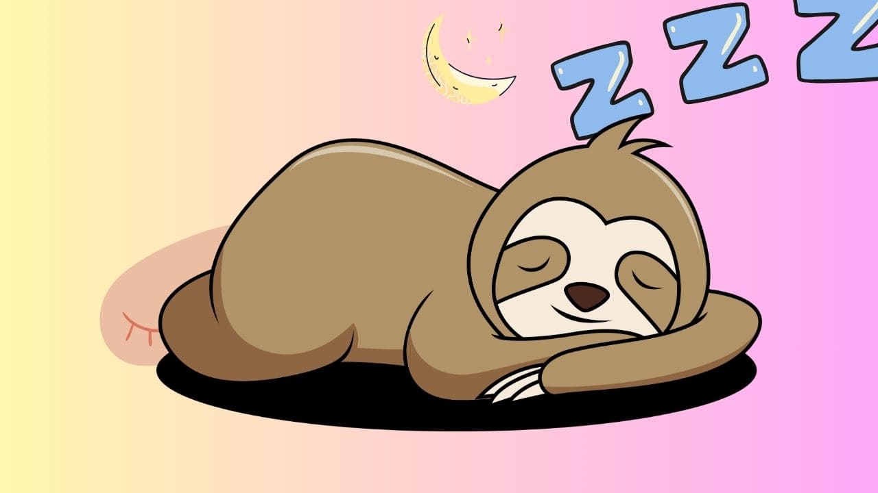 Desirable Features In Your Sleep Tracker App