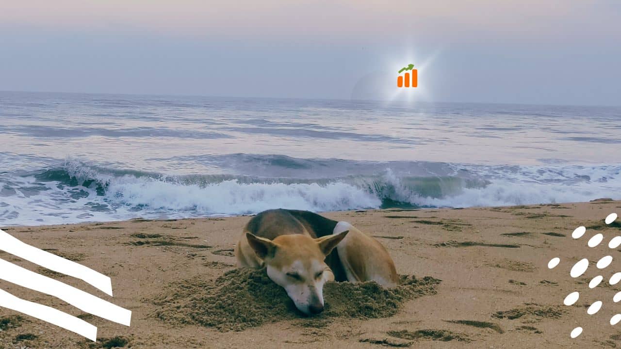 Pondicherry Business Ideas For 2024