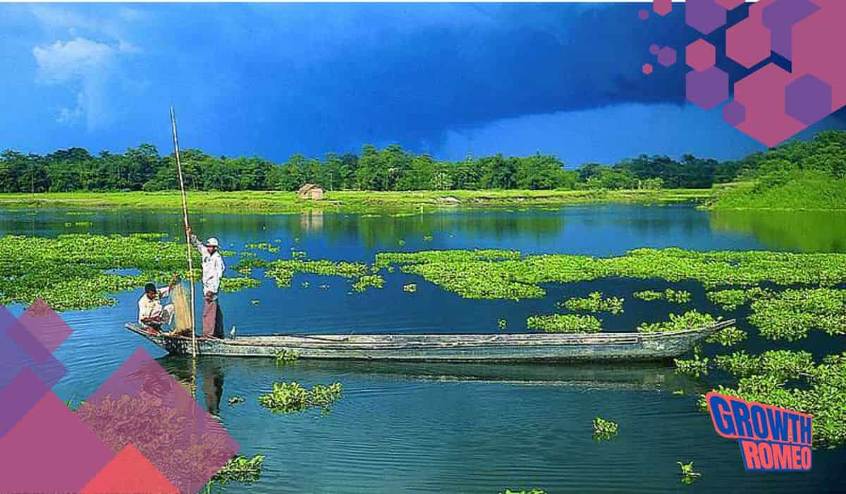 13 Business Ideas In Assam To Start In 2024