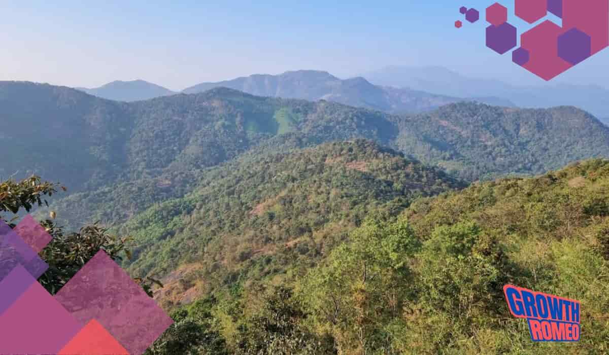 12 Business Ideas In Malappuram for 2024