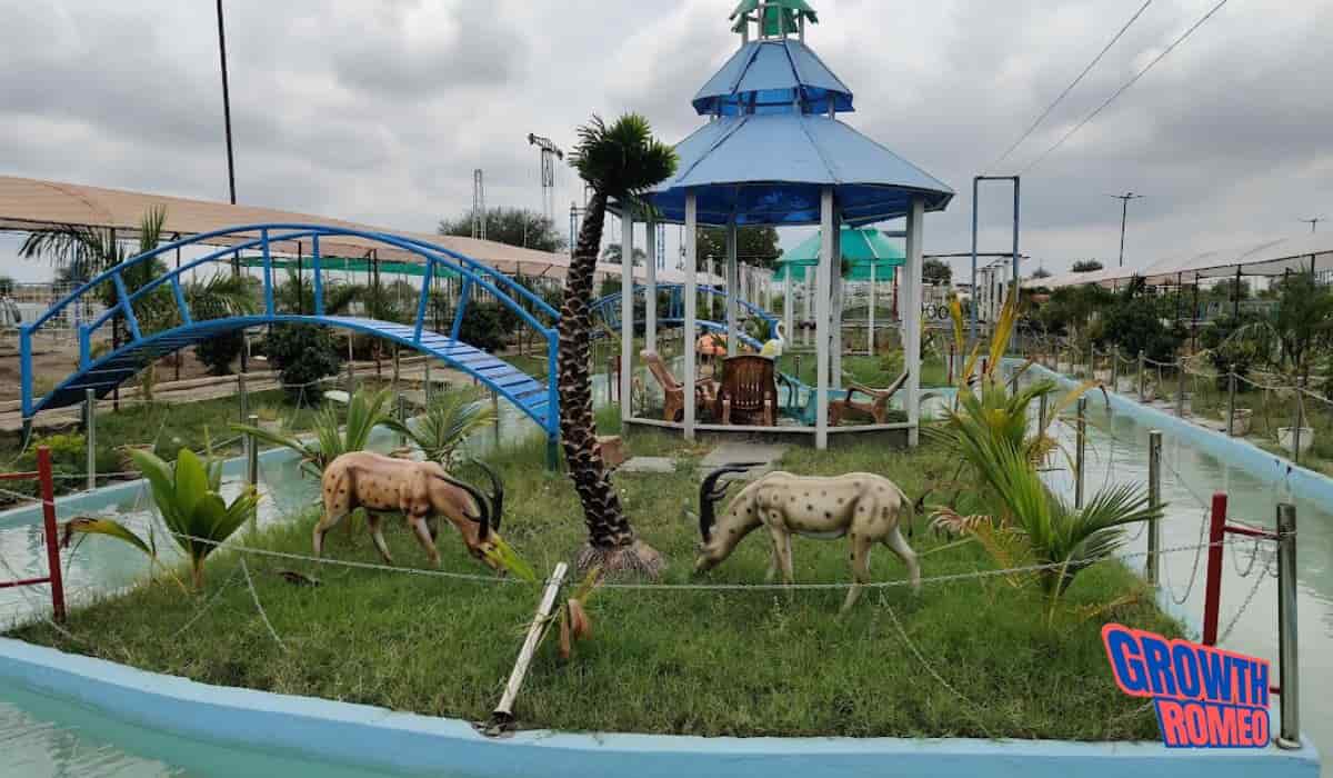 13 Business Ideas in Akola for 2024