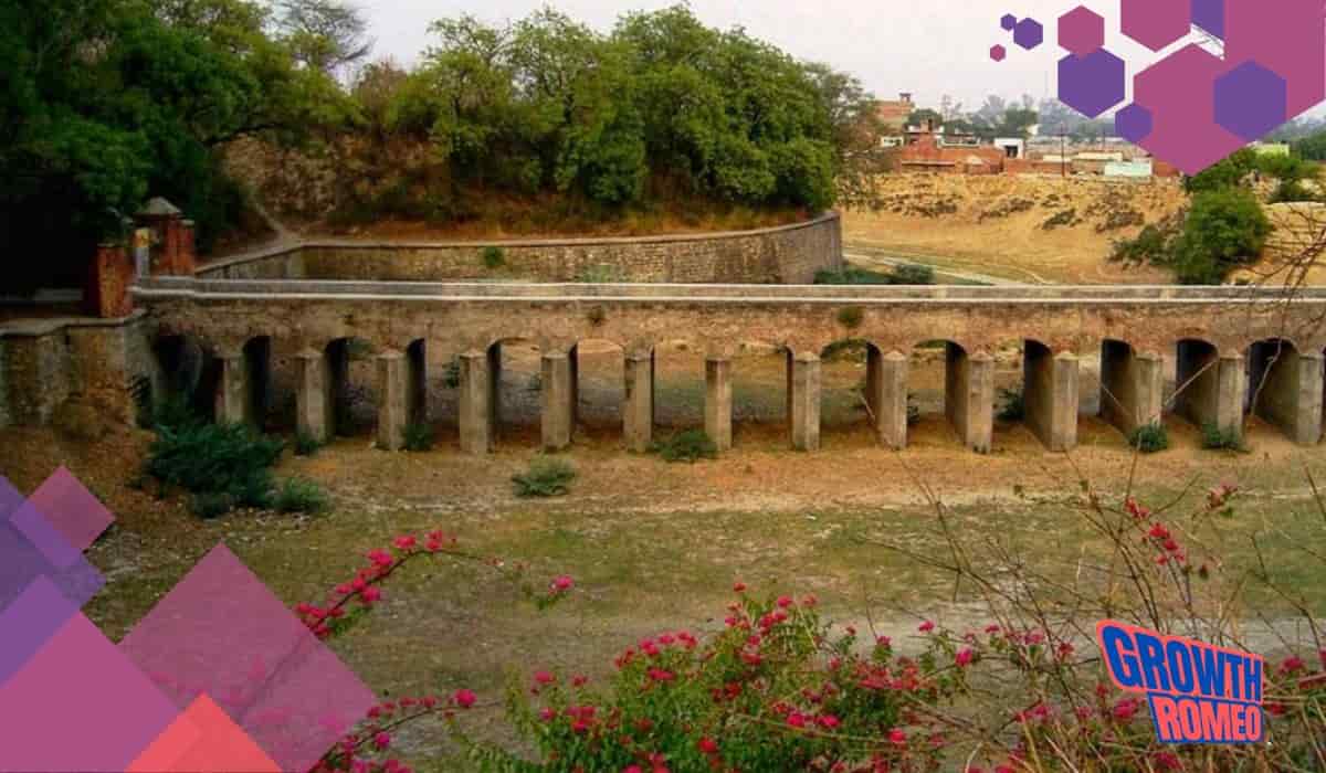 12 Business Ideas In Aligarh for 2024