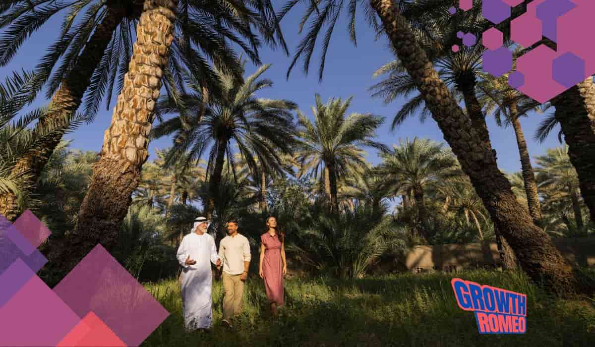 13 Business Ideas In Dubai For 2024 To Start New Company