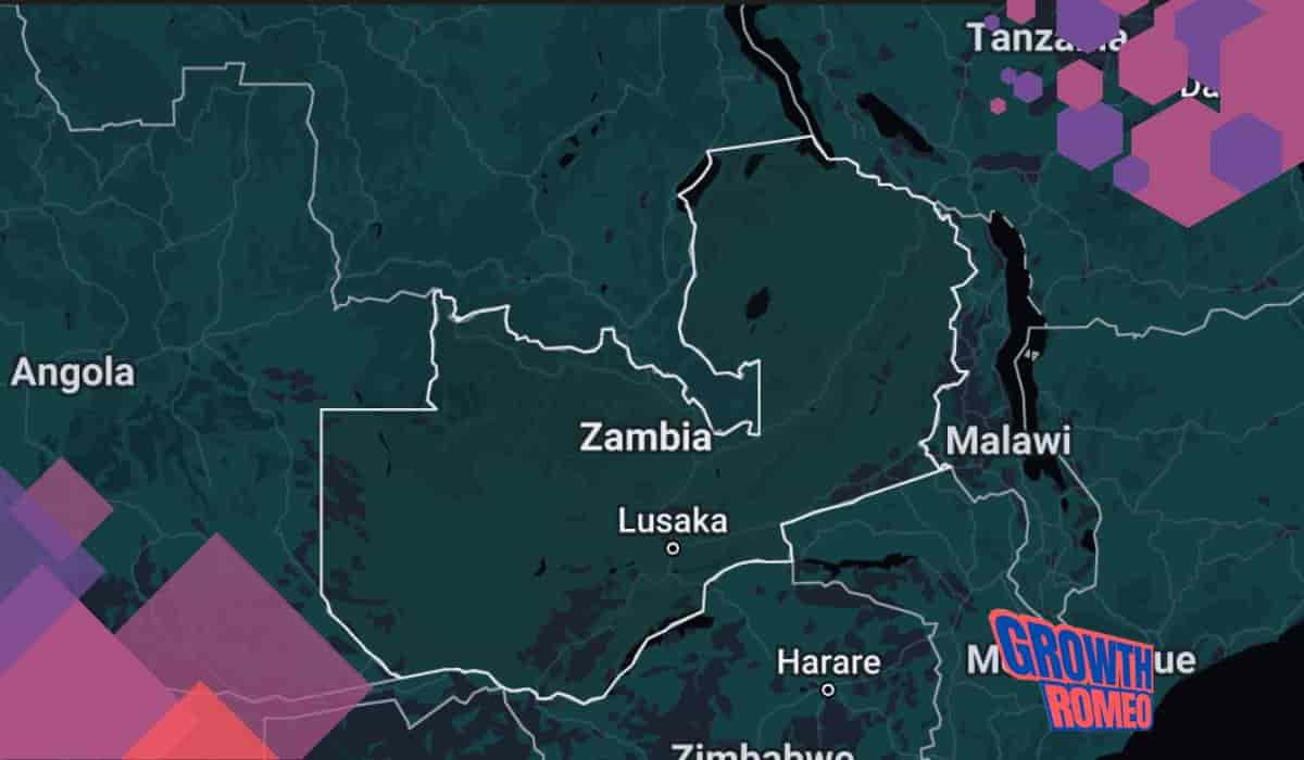 13 Business Ideas In Zambia In 2024