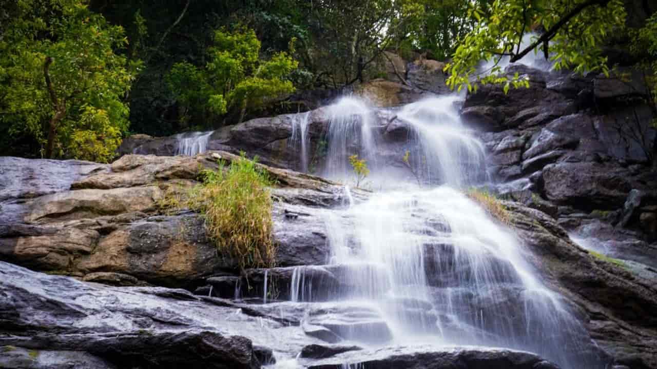 9 Business Ideas In Salem for 2024