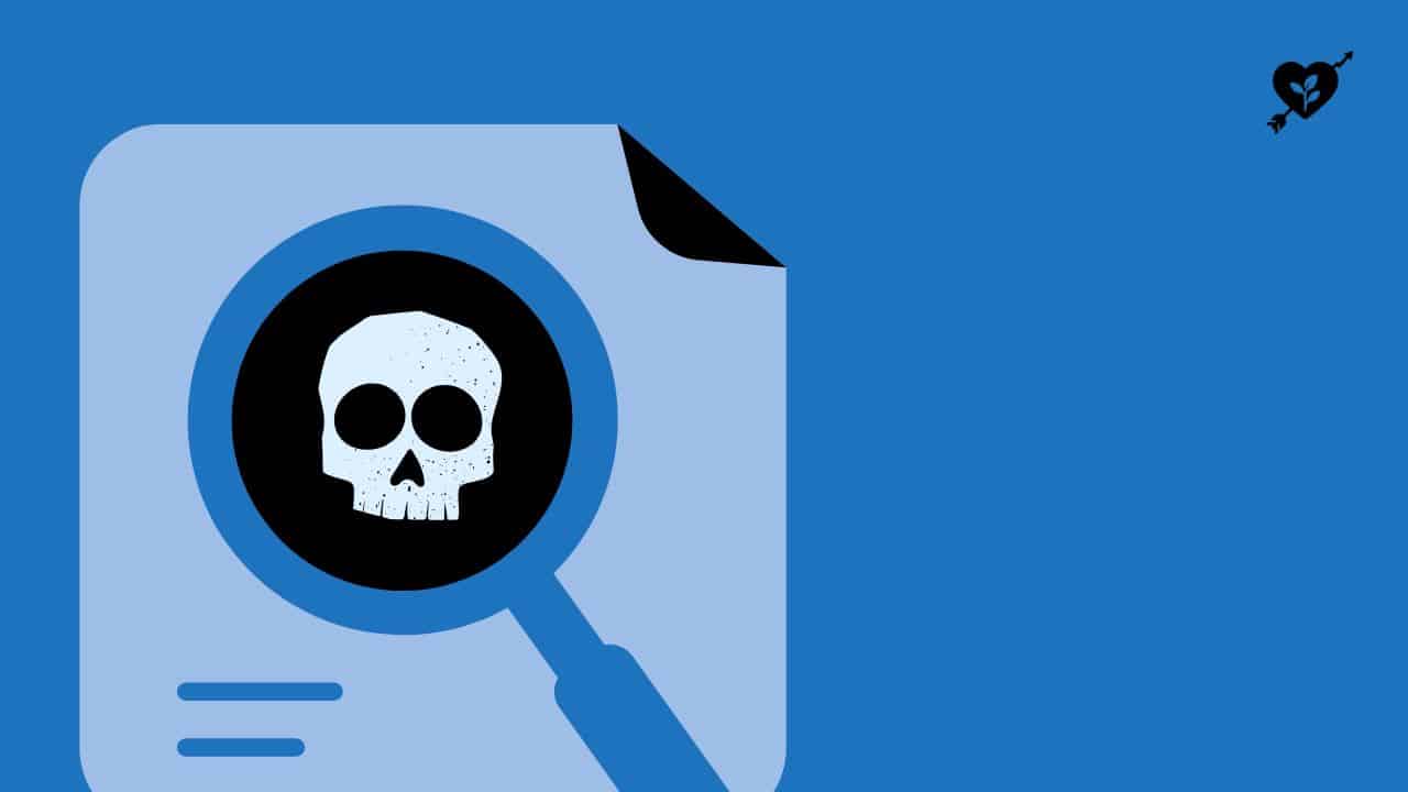 Is SEO Really Going To Be Dead in 2025?