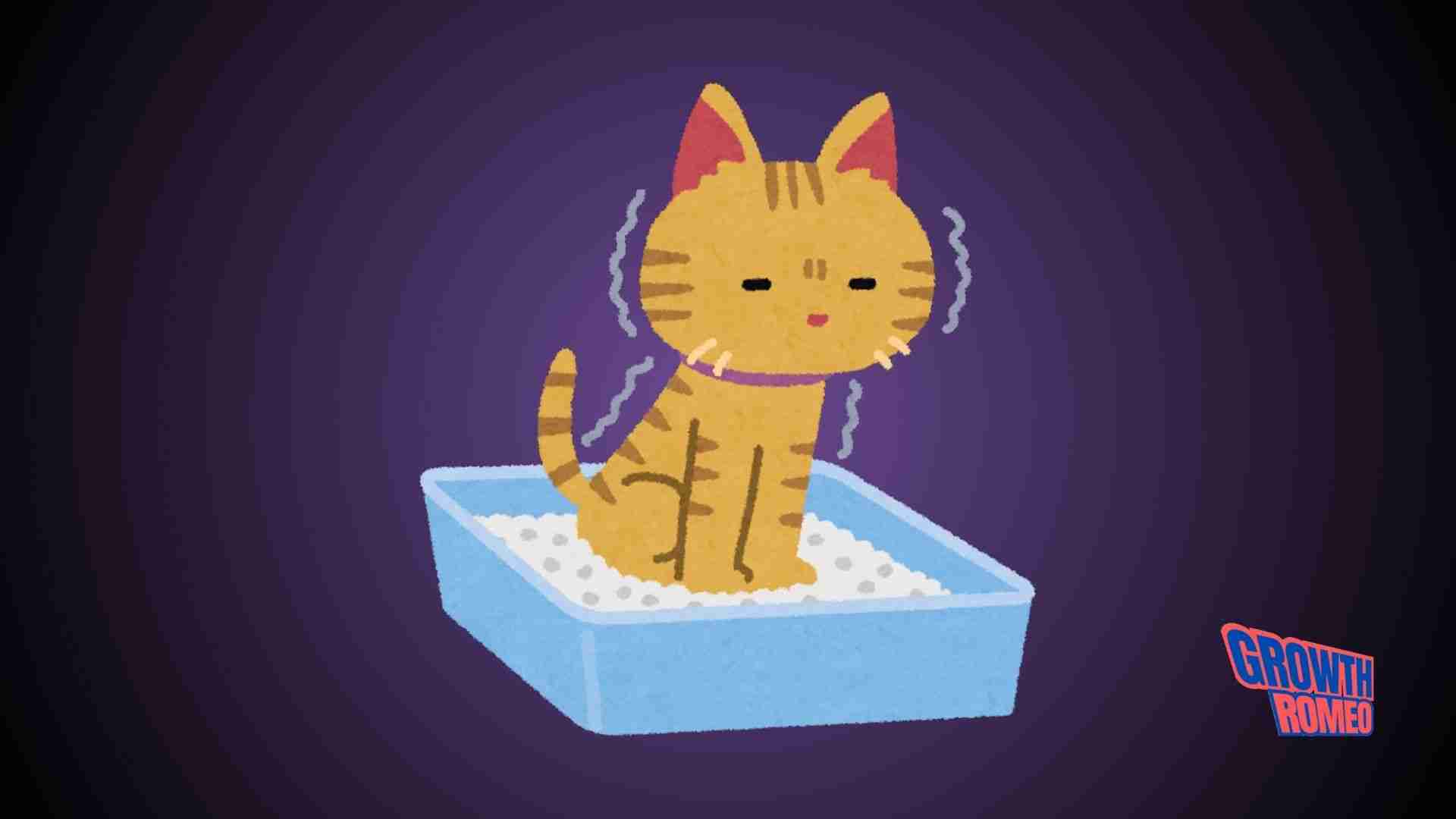 Revolutionizing Pet Care with Self-Cleaning Litter Boxes