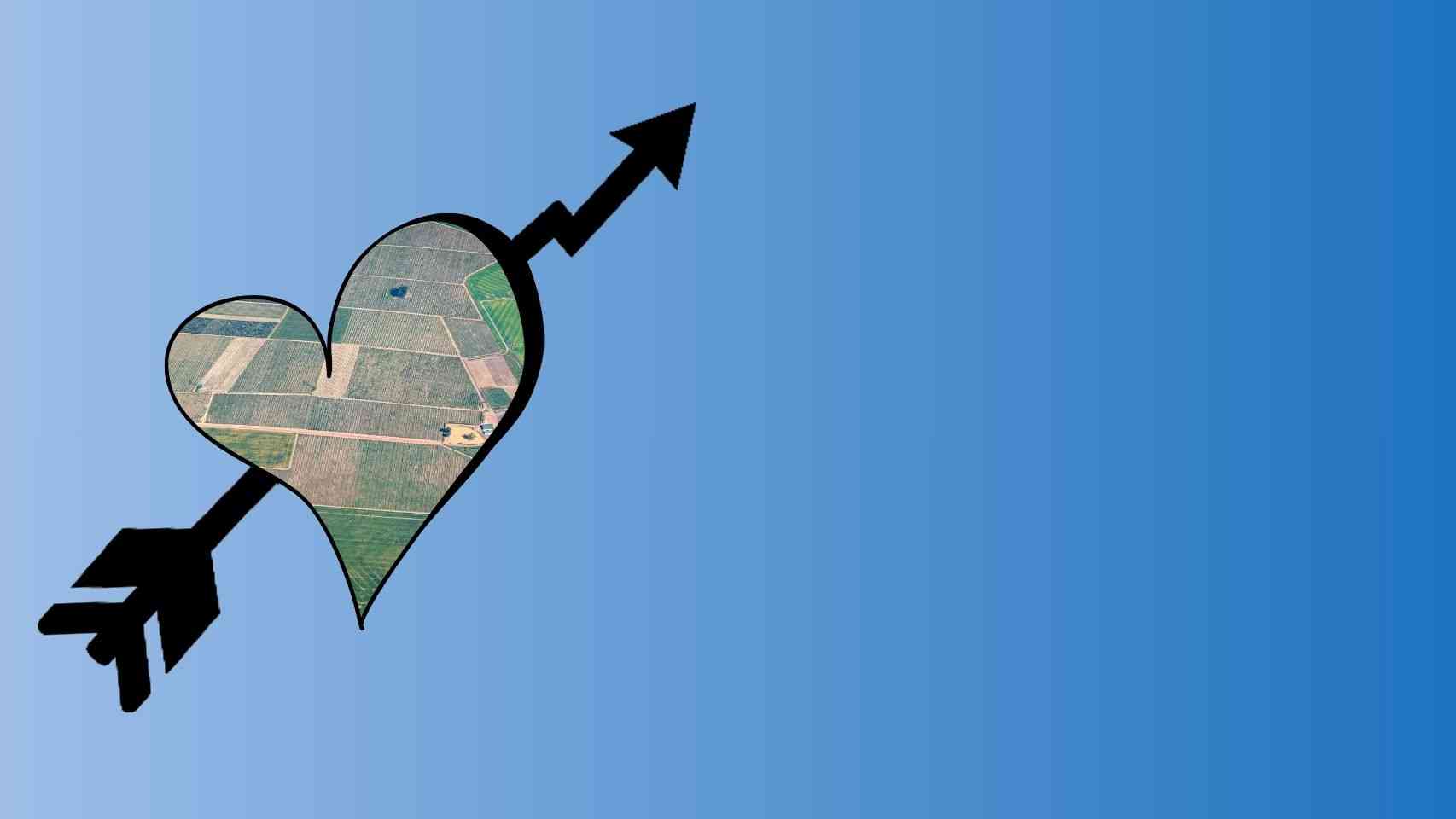 Aerial Photography Business Idea