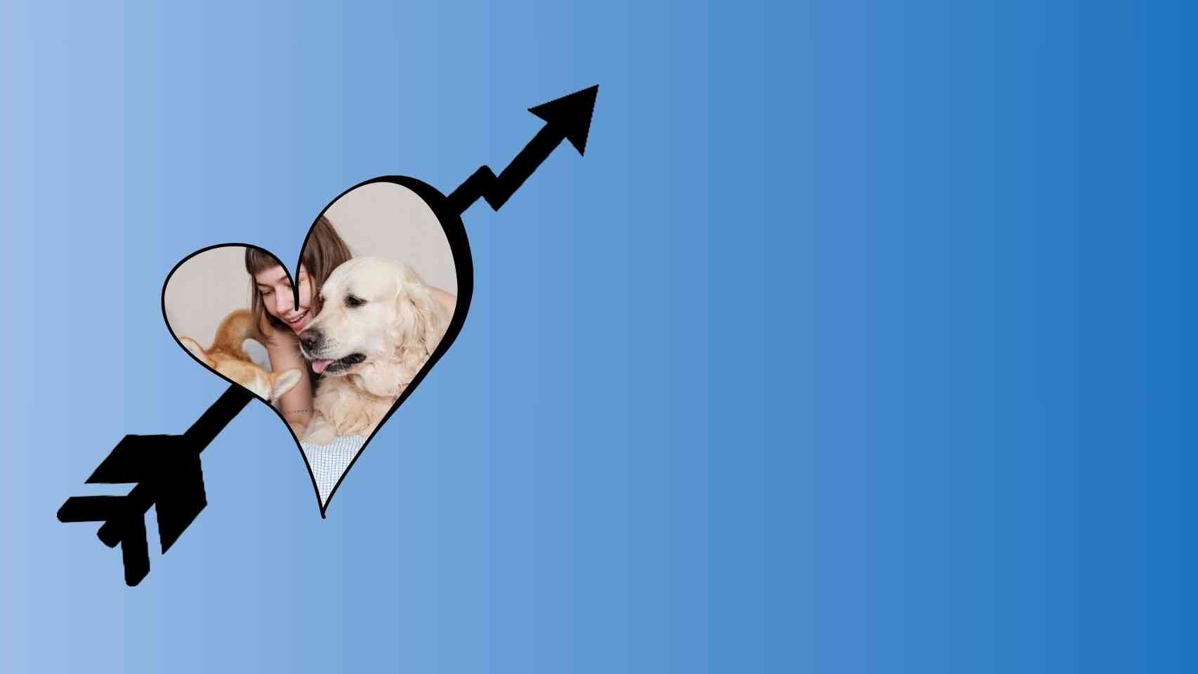 Affordable Pet Insurance Business Idea