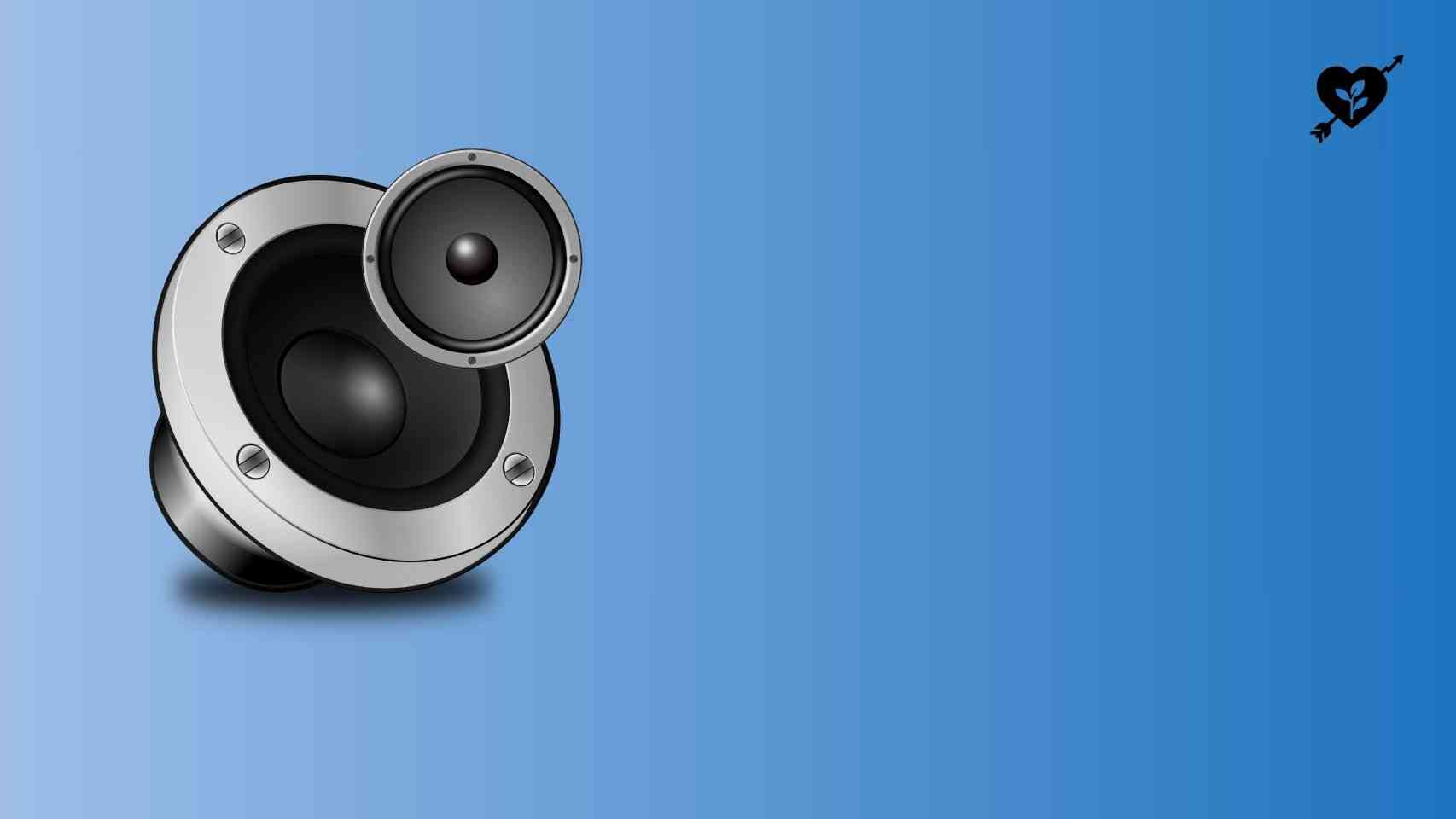 Profitable Aftermarket Car Audio Systems Business Idea