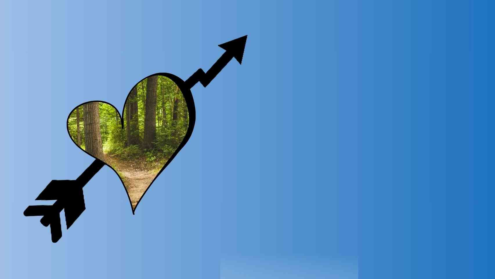 Agroforestry Business Idea