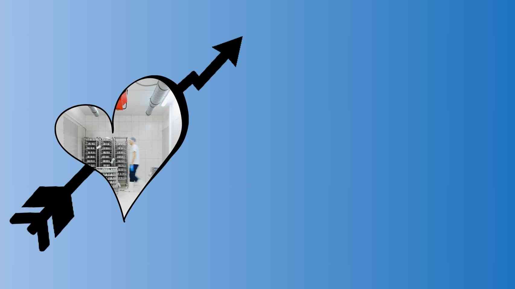 Airtight Food Storage Containers Business Idea