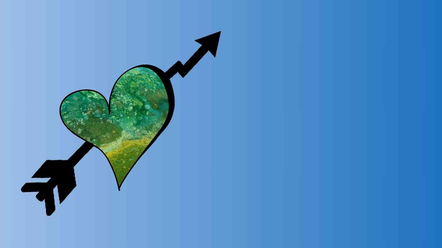 Algae Farming Business Idea