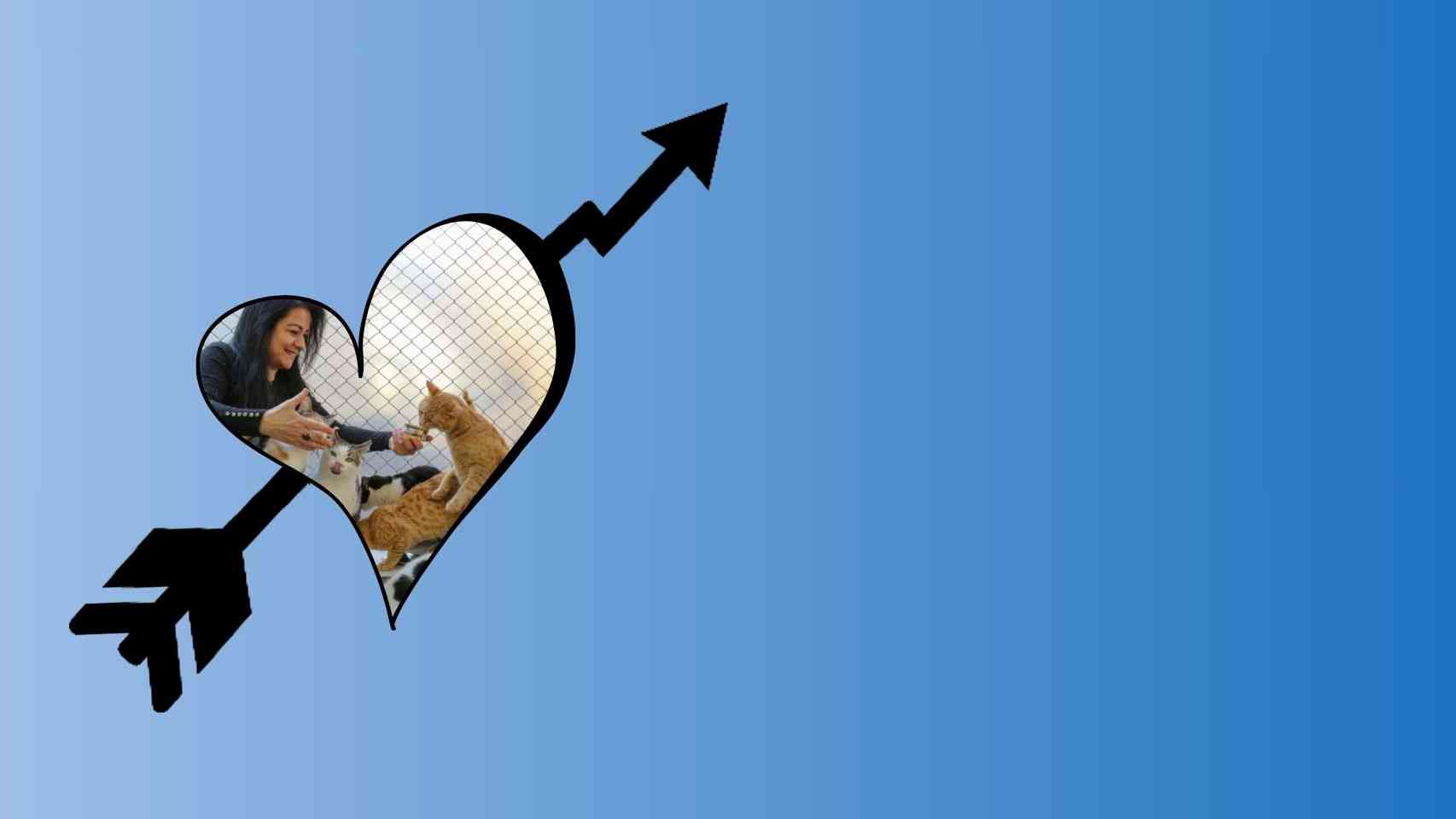 Profitable Animal Rescue Business Ideas