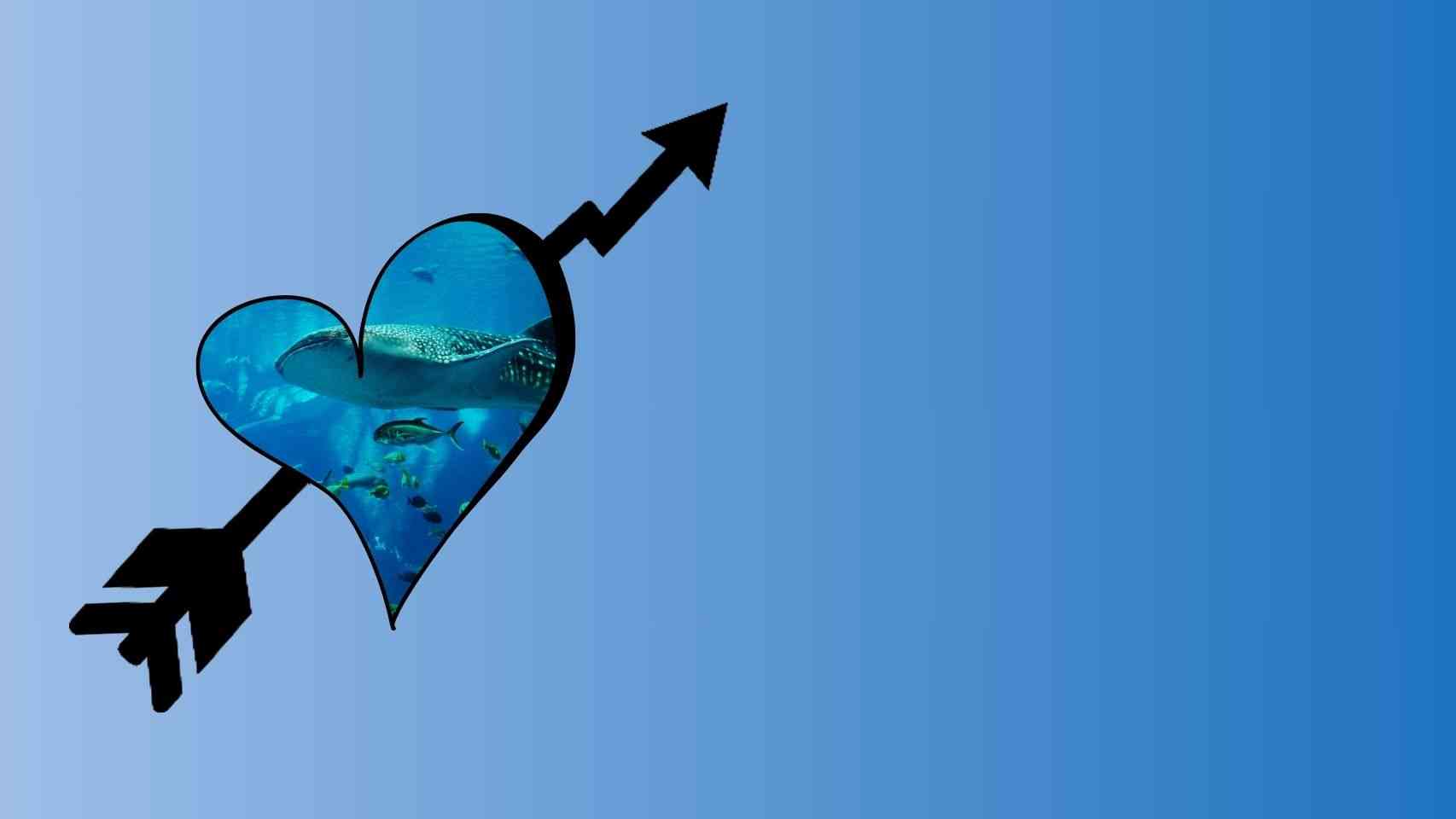 Aquarium Maintenance Business Idea