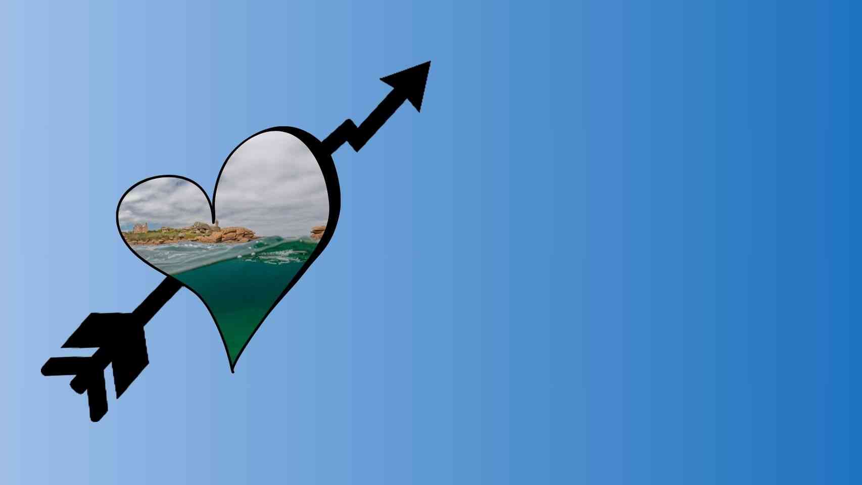 Aquatic Landscaping Business Idea