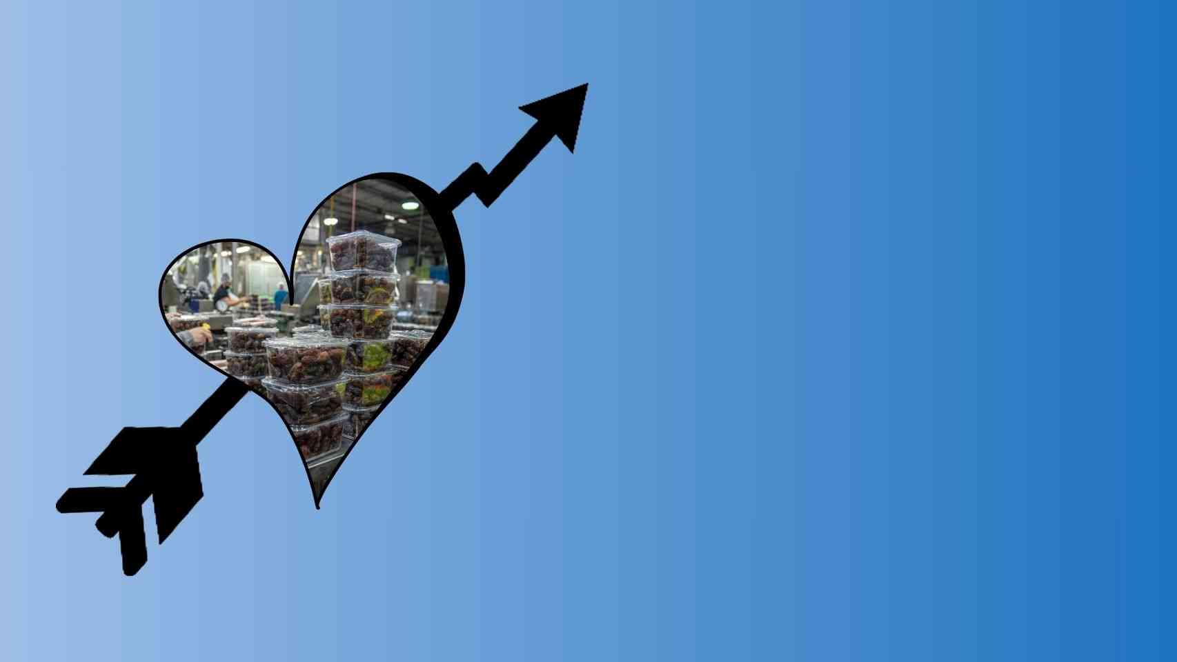 Automated Packing Machines Business Idea