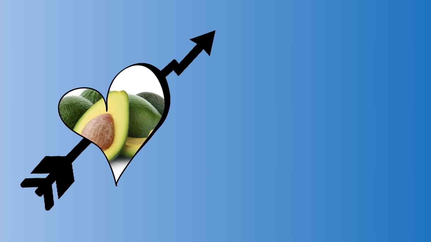 Avocado Oil Production Business Idea