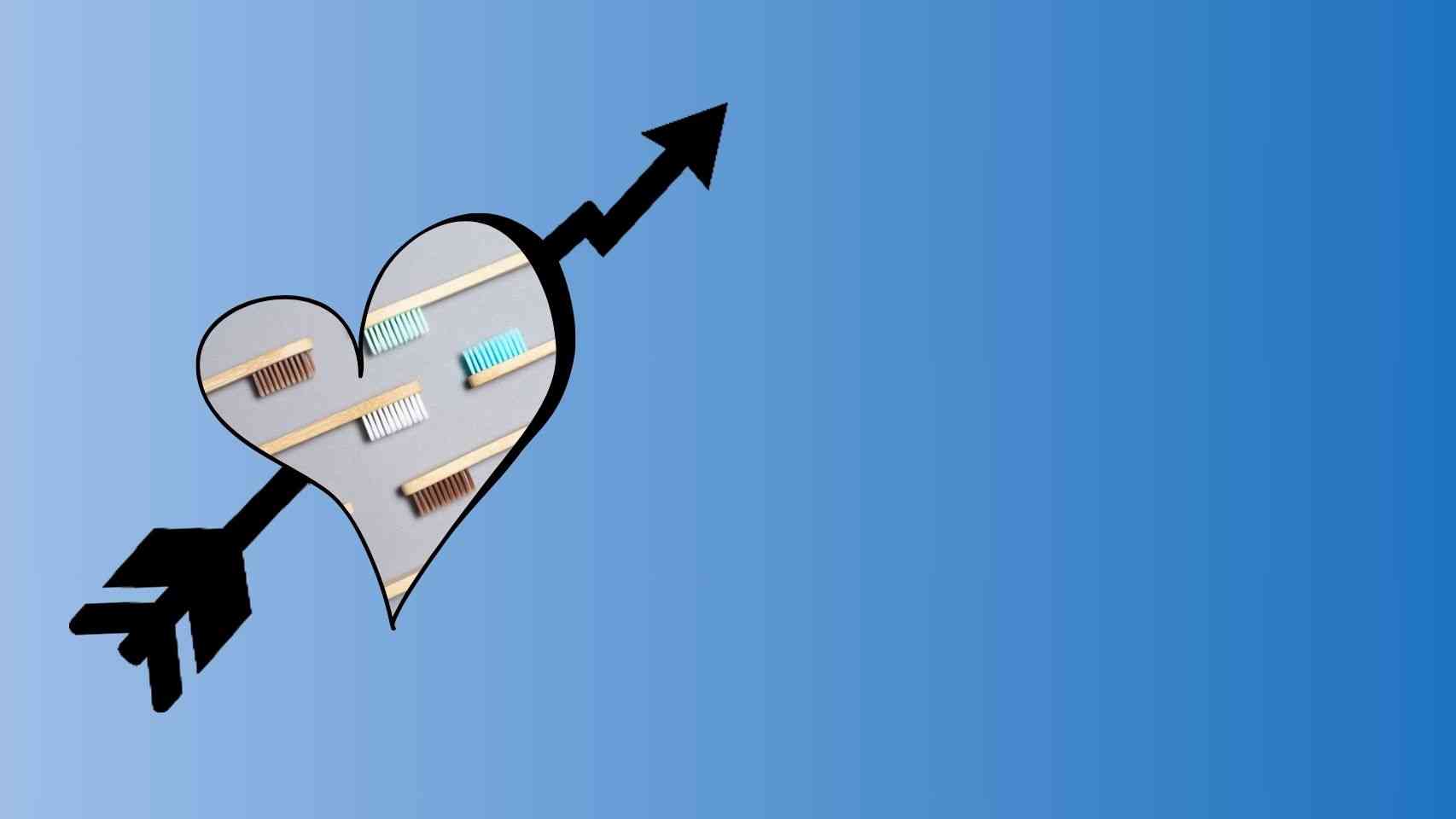 Bamboo Toothbrushes Business Idea