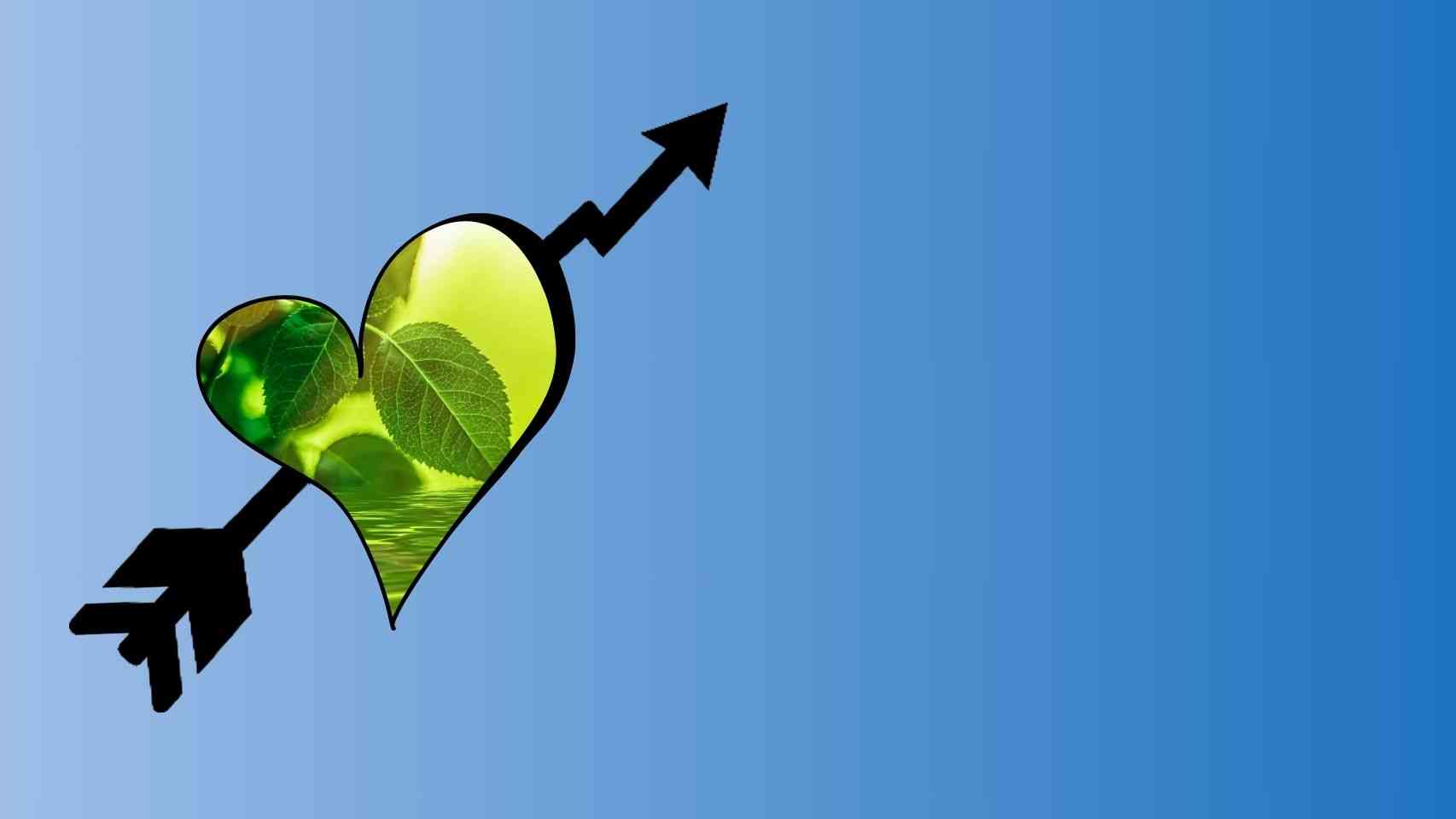 Biomass Energy Production Business Idea