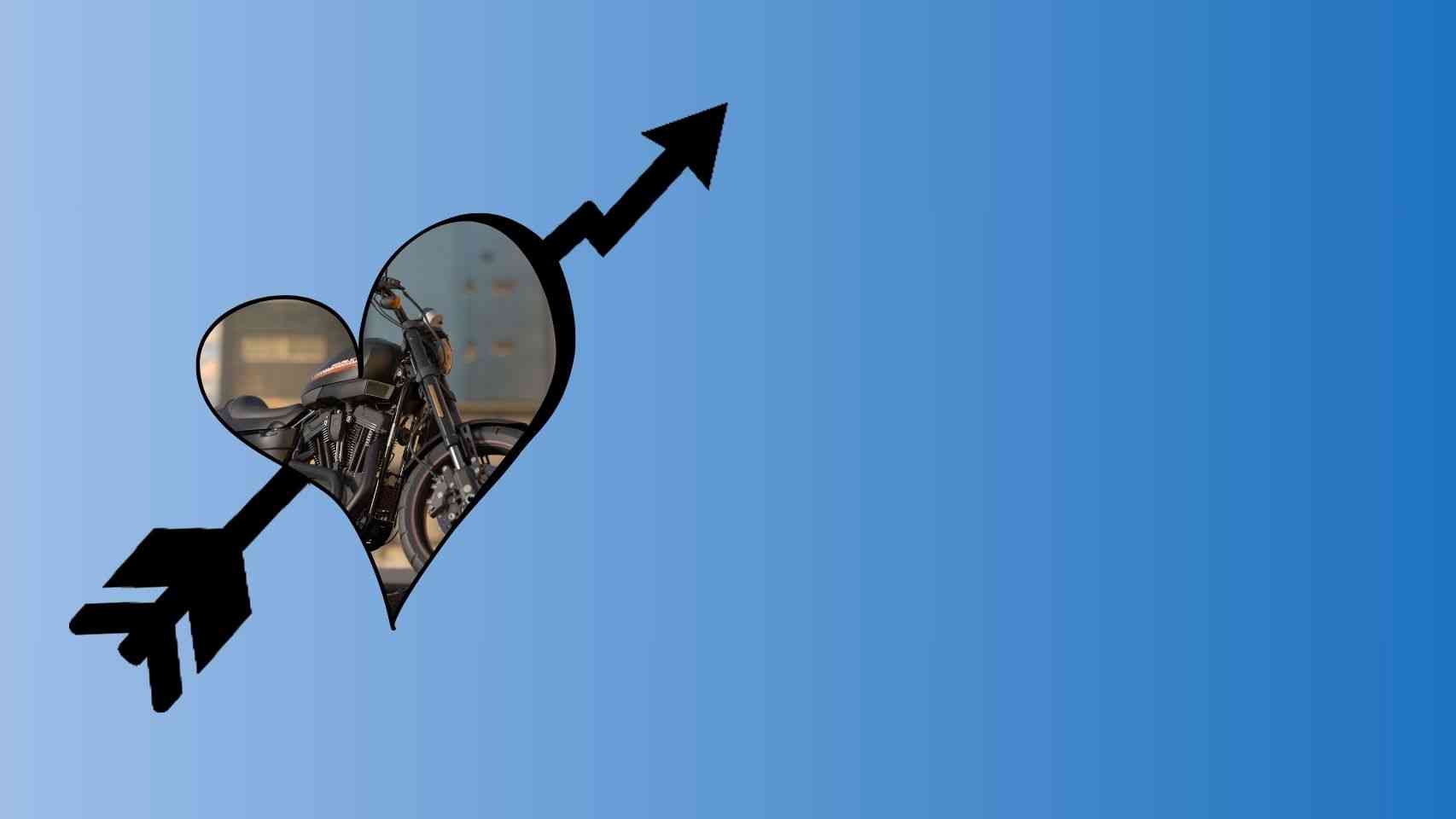 Cargo Bike Rentals Business Idea