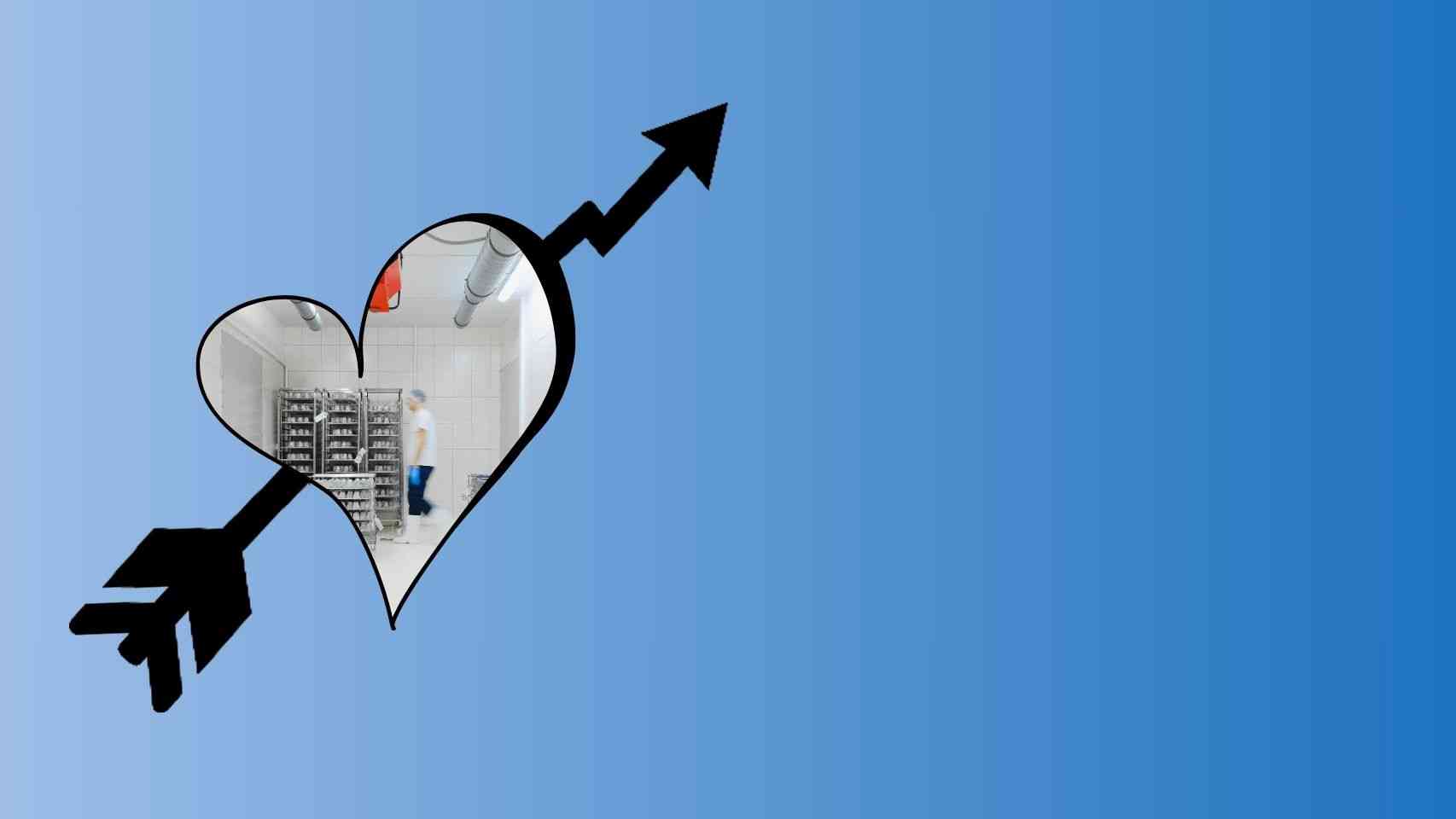 Cold Chain Packaging Solutions Business Ideas